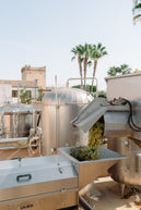From the vineyards to your glass. What happens after the harvest?