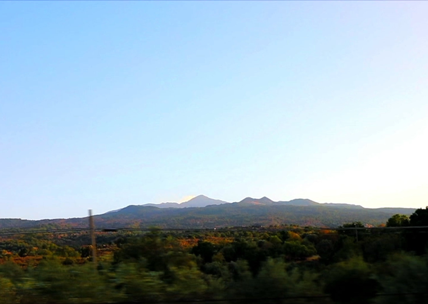 <p><strong>Sicilian Sunshine <br/>in </strong><em><strong>Every Sip</strong></em></p>