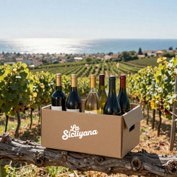 SICILIAN DISCOVERY BOX - 6 MIXED WINES